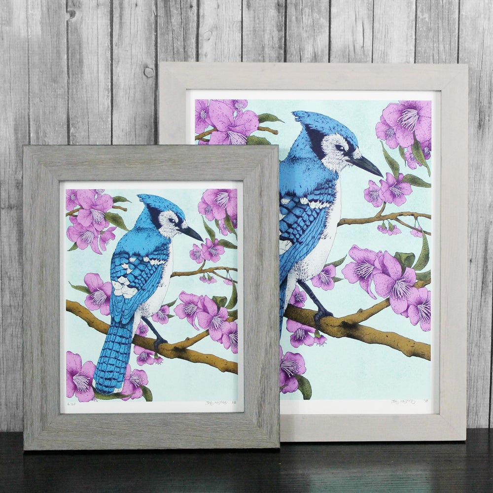 Blue bird | Hastings Studio